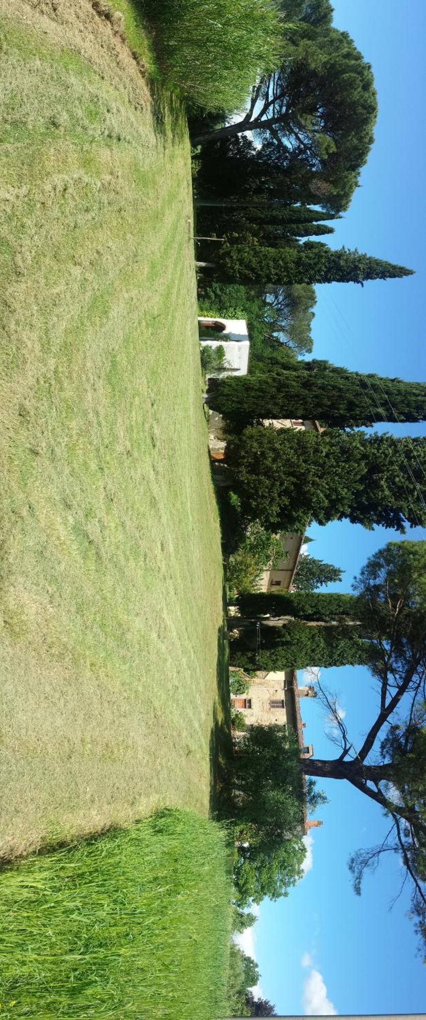 Il Poggio B&B Ginestra Fiorentina Extérieur photo